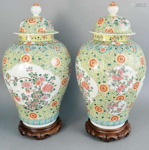 Large pair of Famille Rose covered baluster jars,