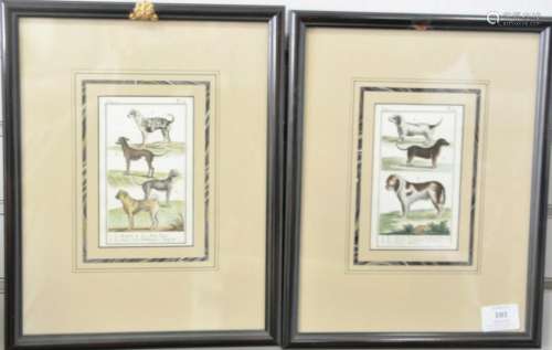 Group of eleven colored French animal engravings, to