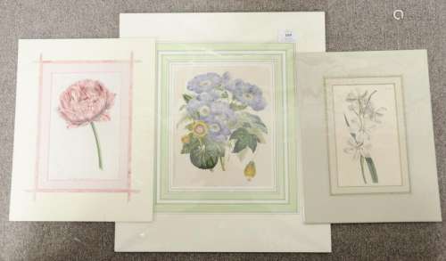 Group of ten botanical colored engravings, five by