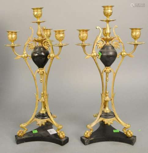 Pair of bronze candelabras with claw feet on black