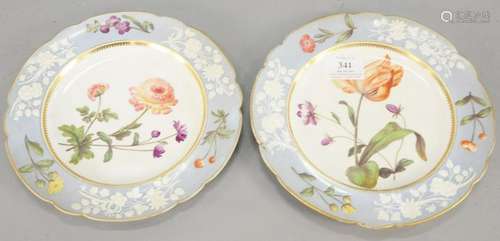 Nineteen piece lot to include early English spode