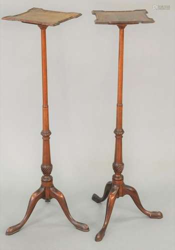 Pair of Custom Fern Stands, each with shaped molded