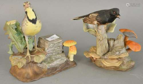 Two Edward Marshall Boehm porcelain birds, 