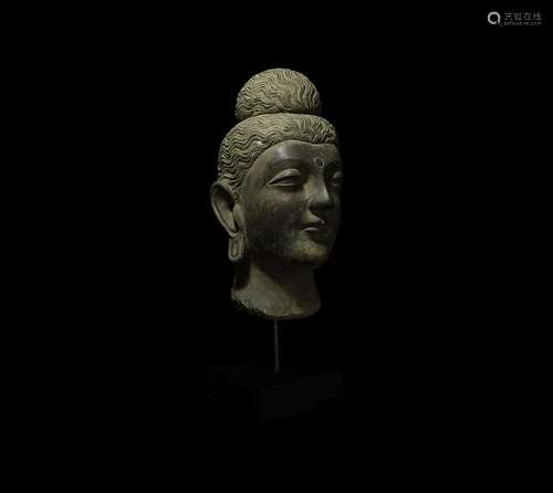 Large Gandharan Head of Buddha