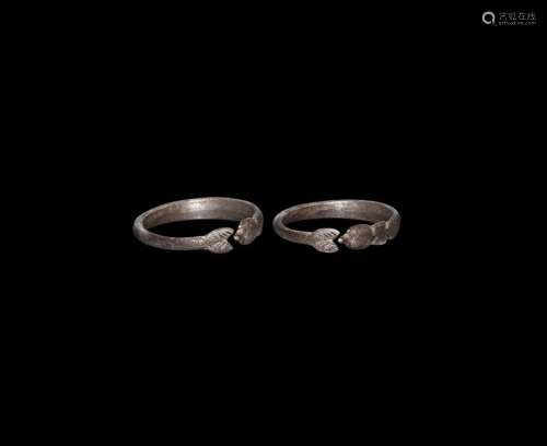Roman Silver Dolphin Ring