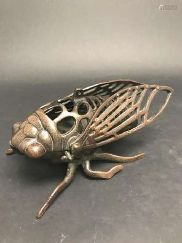 Bronze Cricket