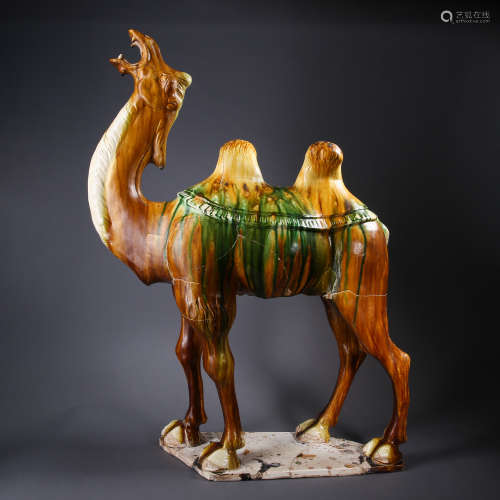 ANCIENT CHINESE TRI-COLORED GLAZED PORCELAIN CAMEL