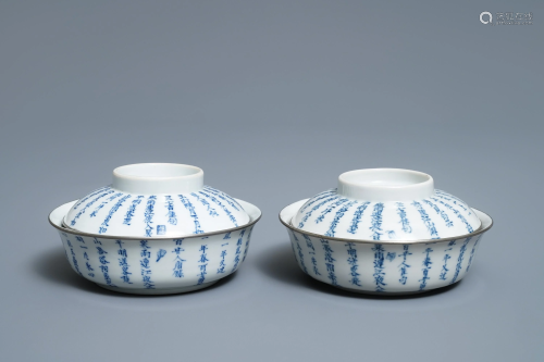 A pair of Chinese blue and white Vietnamese market