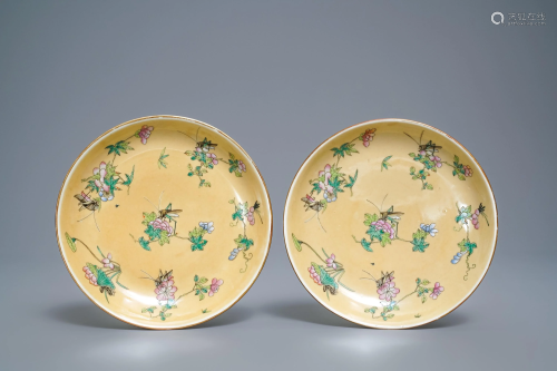 A pair of Chinese plates, Daoguang mark & period