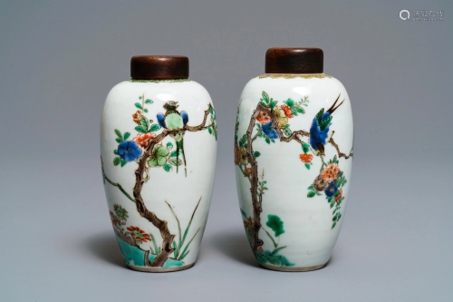 Two Chinese famille verte vases with birds on