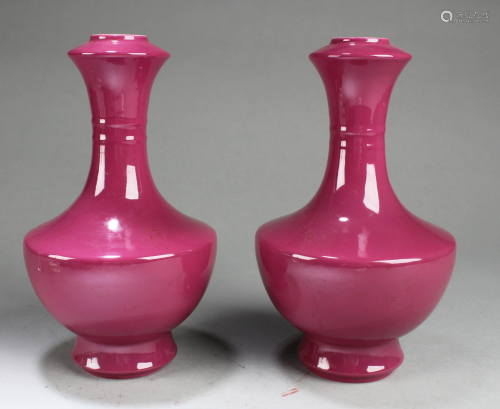 A Pair of Chinese Porcelain Vases