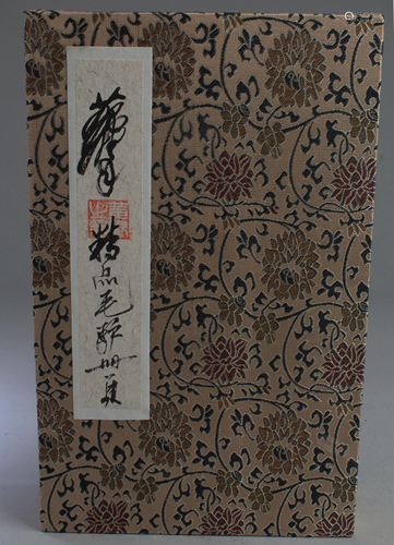 Chinese Painting Book Album