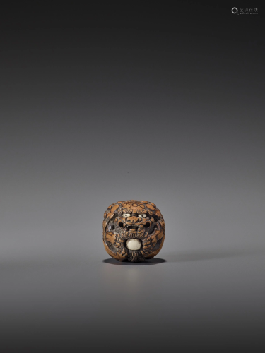 A WOOD NETSUKE OF A SHISHI ROLLED INTO A BALL
