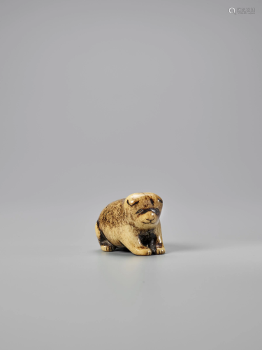 KOKU: A STAG ANTLER CHUBBY DOG NETSUKE