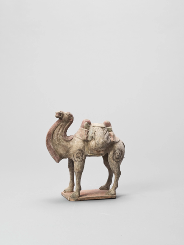 A TERRACOTTA MODEL OF A CAMEL, TANG