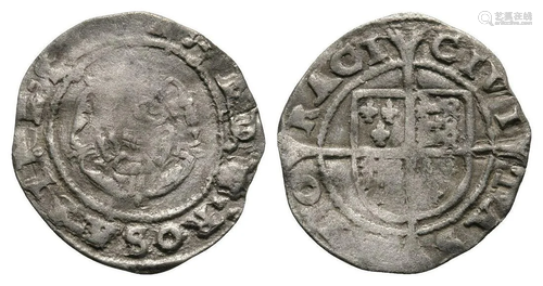 Edward VI - York - Rose Penny