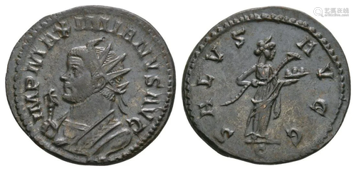 Maximianus - Salus Antoninianus