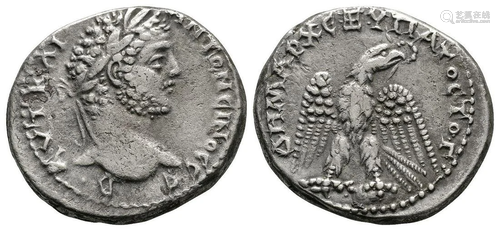 Caracalla - Eagle Tetradrachm