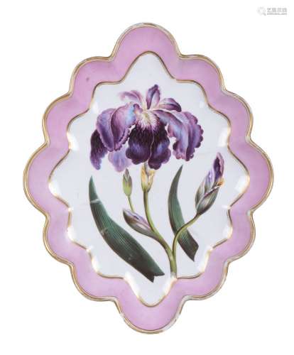 A Derby botanical shaped oval serving dish painted with an iris and attributed to William 'Quaker'