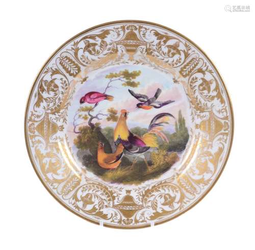 A Derby plate pained with fowl and other birds