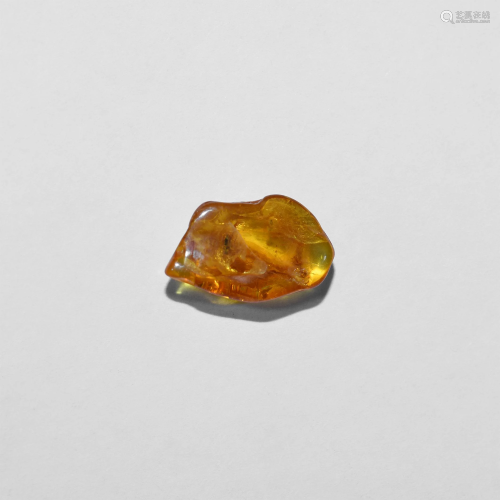 Polished Baltic Amber with Insect