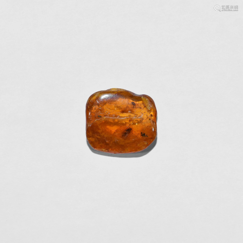 Polished Baltic Amber with Brachyceran Fly