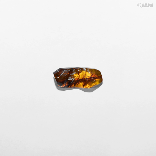 Polished Baltic Amber with Fibrous Material
