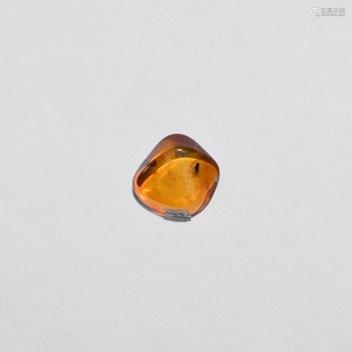 Polished Baltic Amber with Fly