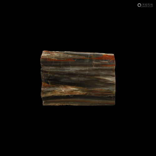 Polished Fossil Wood Section