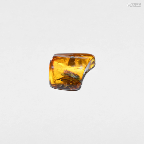 Polished Baltic Amber with Spider and Flies