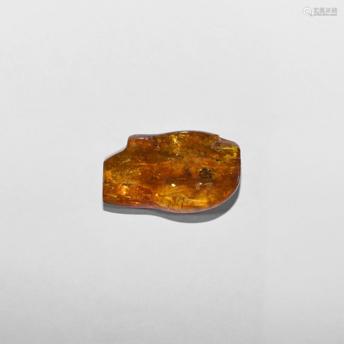 Polished Baltic Amber with Fly and Mite