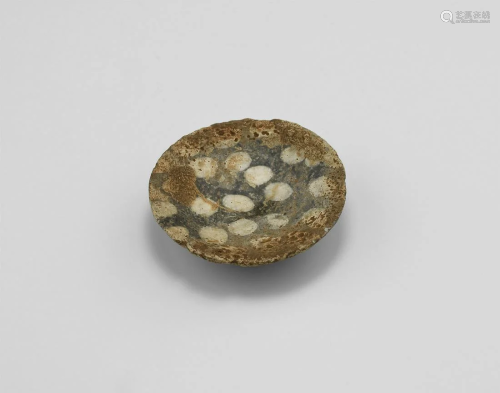 Egyptian Fossiliferous Limestone Dish