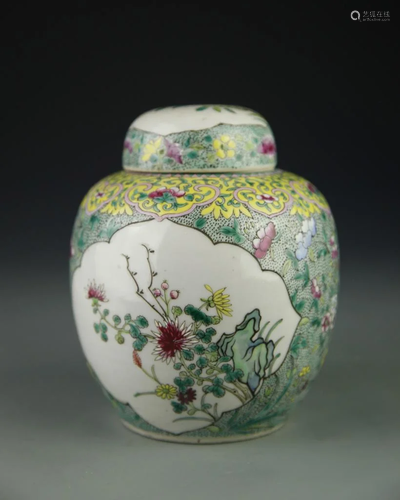 Chinese Jar Wild