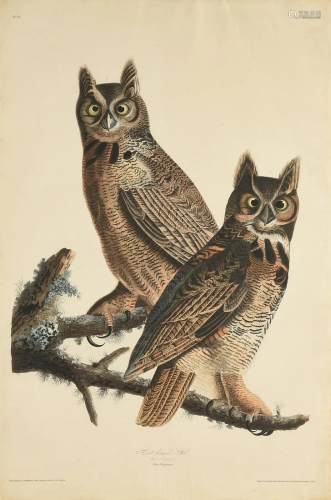 JOHN JAMES AUDUBON (American 1785-1581) AN ELE…