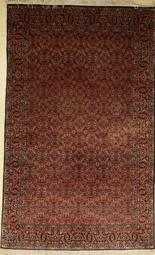 Bidjar fine Rug, Persia, approx. 20 years, wool on