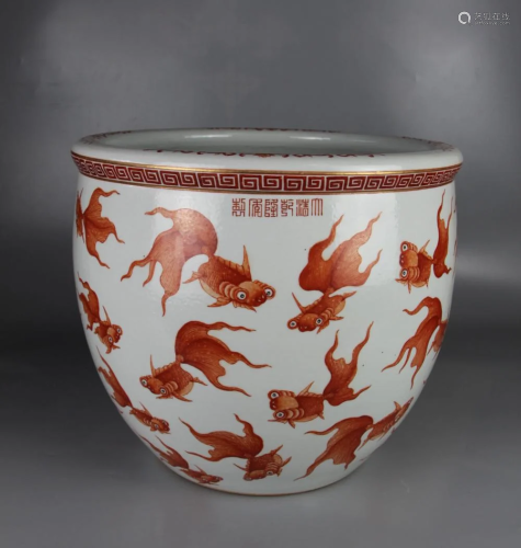 CHINESE IRON RED GOLD FISH PORCELAIN FISH …