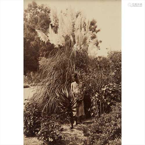 Gloeden, Wilhelm von Boy in Sicilian landscape