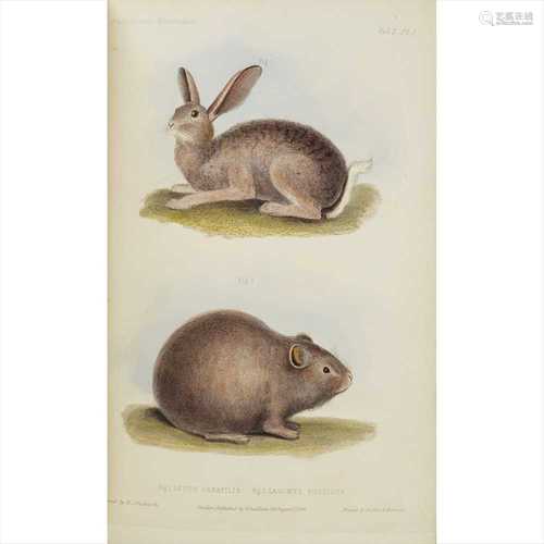 Waterhouse, G., R. A Natural History of the Mammalia