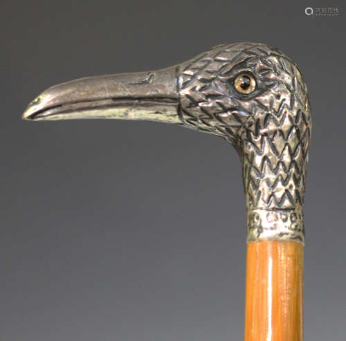 An Edwardian silver mounted bamboo walking cane, the handle in the form of a bird's head with