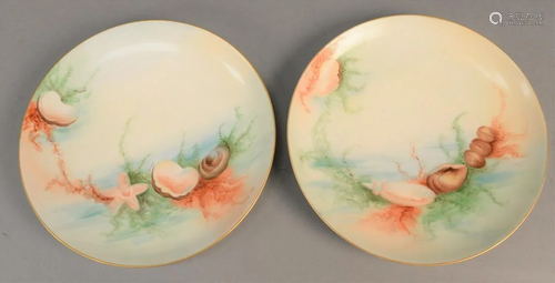 Set of twelve Haviland porcelain plates hand painted