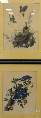 Four colored bird prints to include two prints after