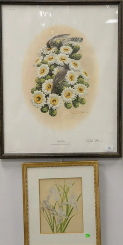 Group of six framed bird prints and lithographs to