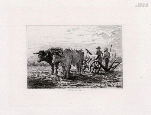 A 1800s LEOPOLD MASSARD ETCHING OXEN PL…