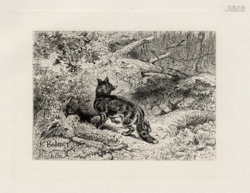 A 1800s KARL BODMER ETCHING THE HUNTING FOX…
