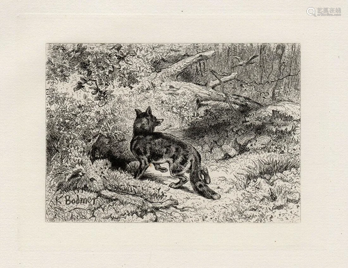 A 1800s KARL BODMER ETCHING THE HUNTING FOX…