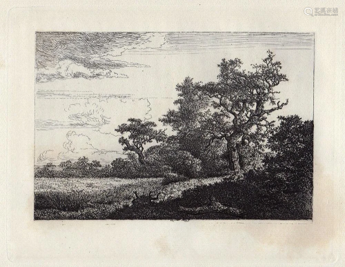 A 1800s RUISDAEL ETCHING THE CORNFIELD FR…