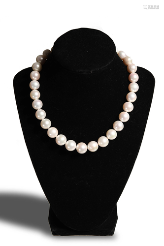 South Sea Pearl Choker with 14K Gold Clasp