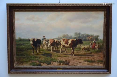 Henry Savry: painting (o/c) 'cows' (122x76cm)