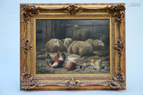 Eugène Maes: painting (o/p) 'sheep in a stable' (62x46cm)