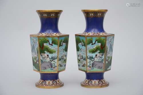 A pair of hexagonal cloisonné vases 'decor of birds' (32cm)